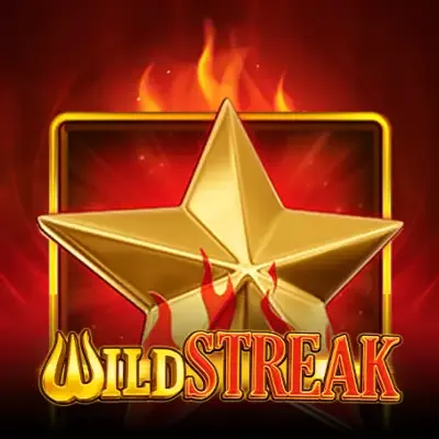 Wild Streak game cover
